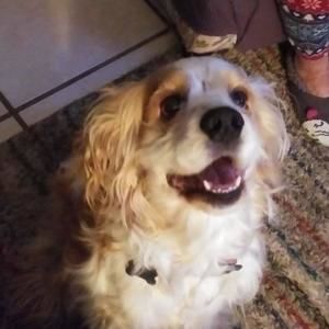 Meet your Posher, Mike